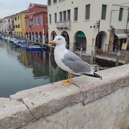 Ca' Dell'Angelo Bed & Breakfast Chioggia Dış mekan fotoğraf